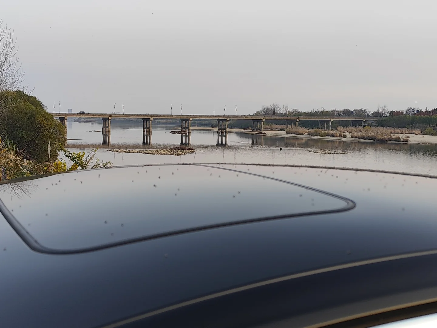 12月份满天的飞虫