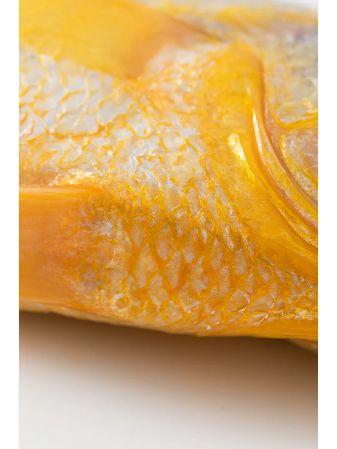 黄渔国丨野生黄鱼