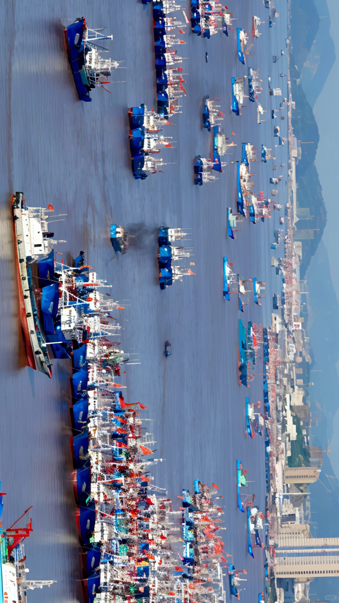 快@你身边最会摄影的人，一起来拍开渔节！