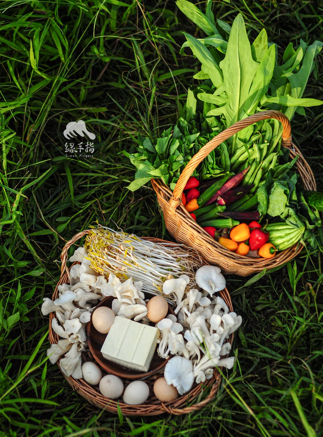 绿手指友好集市开业❗️有机好货速囤❗️