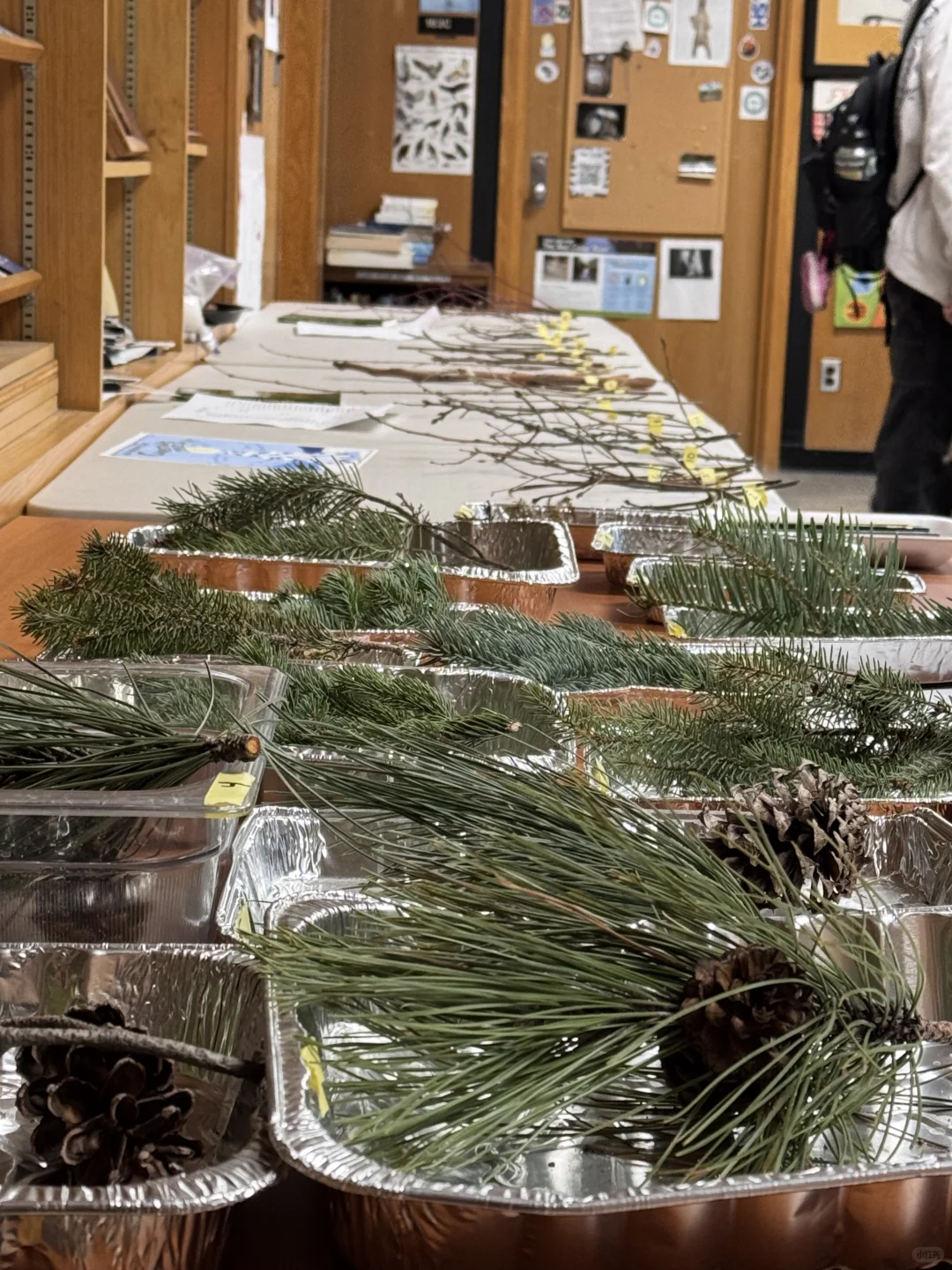 复习林业期末考be like