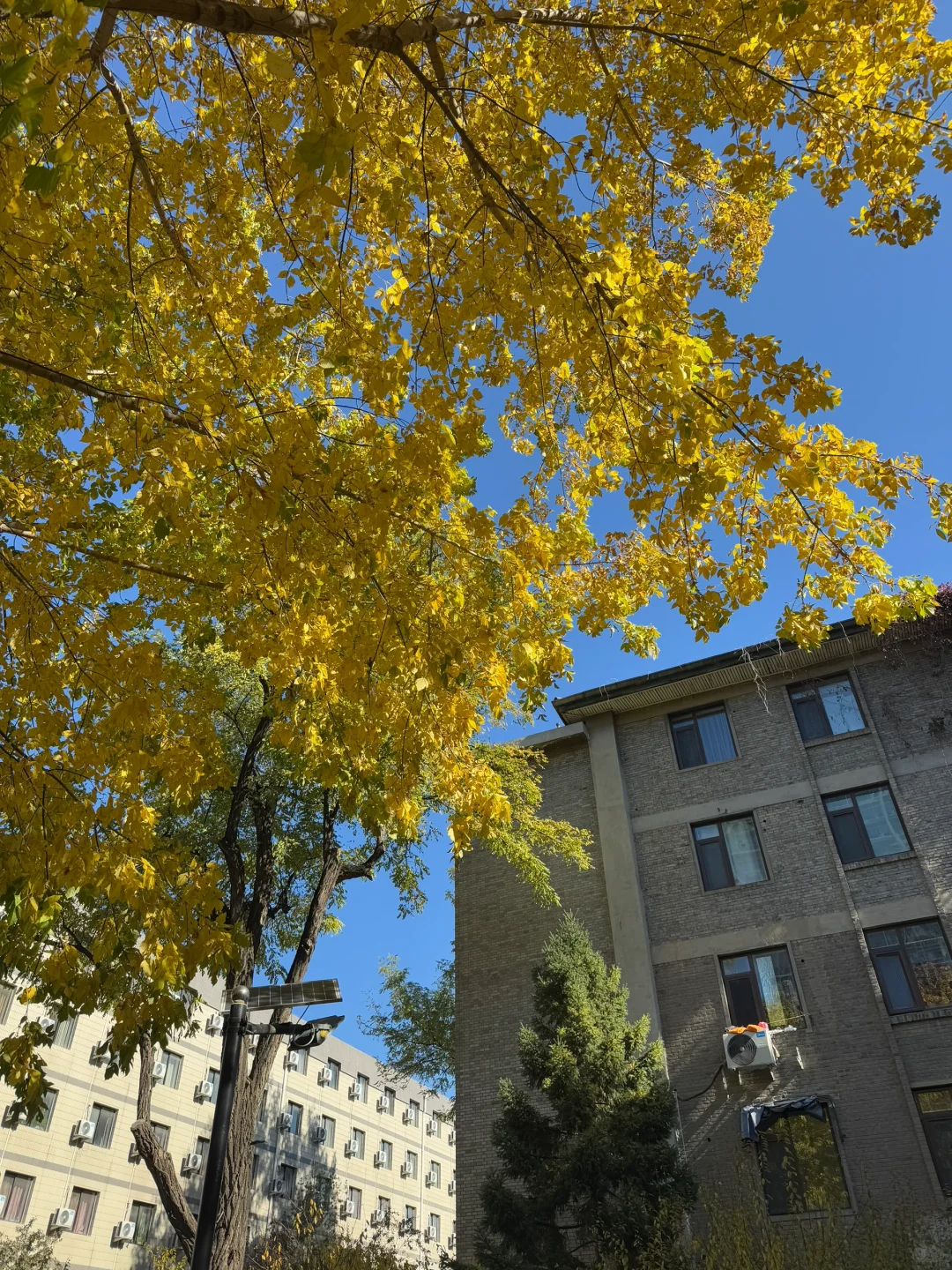 你一定能上北林！