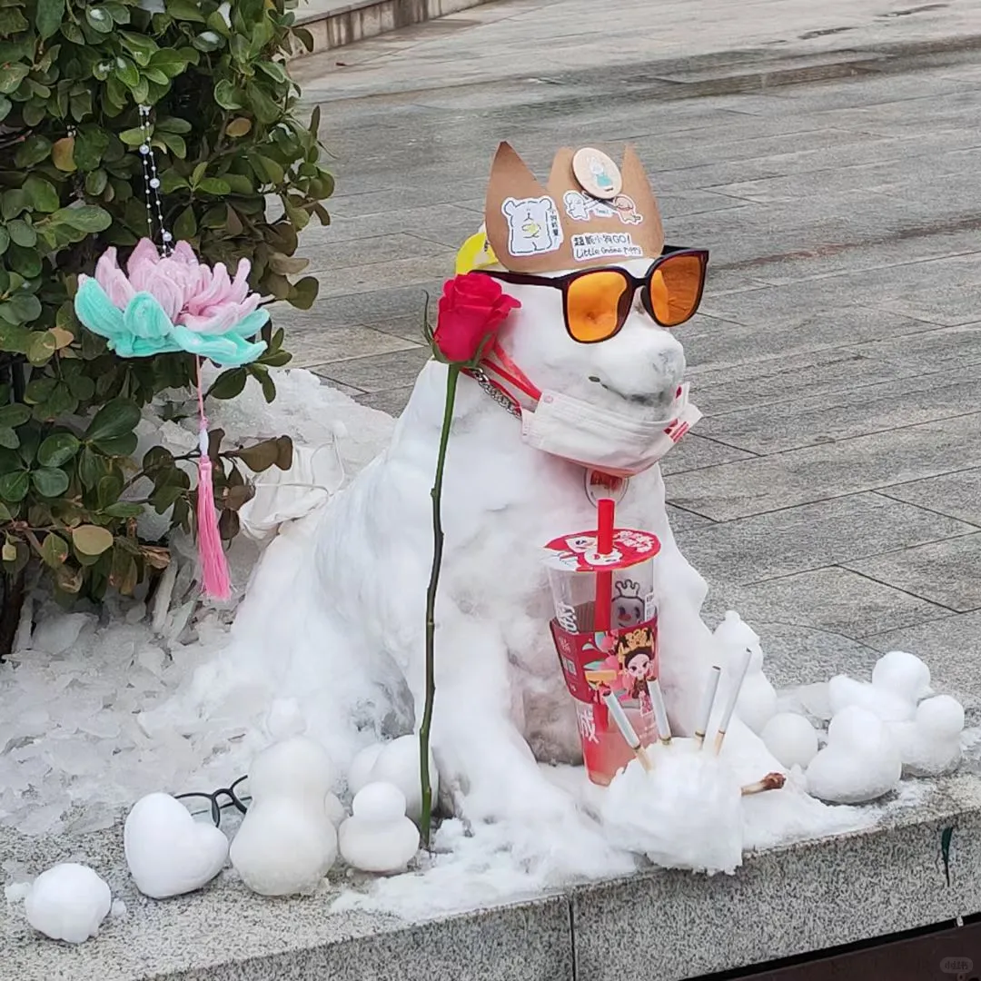 回顾 23 年北林的狗神进化史