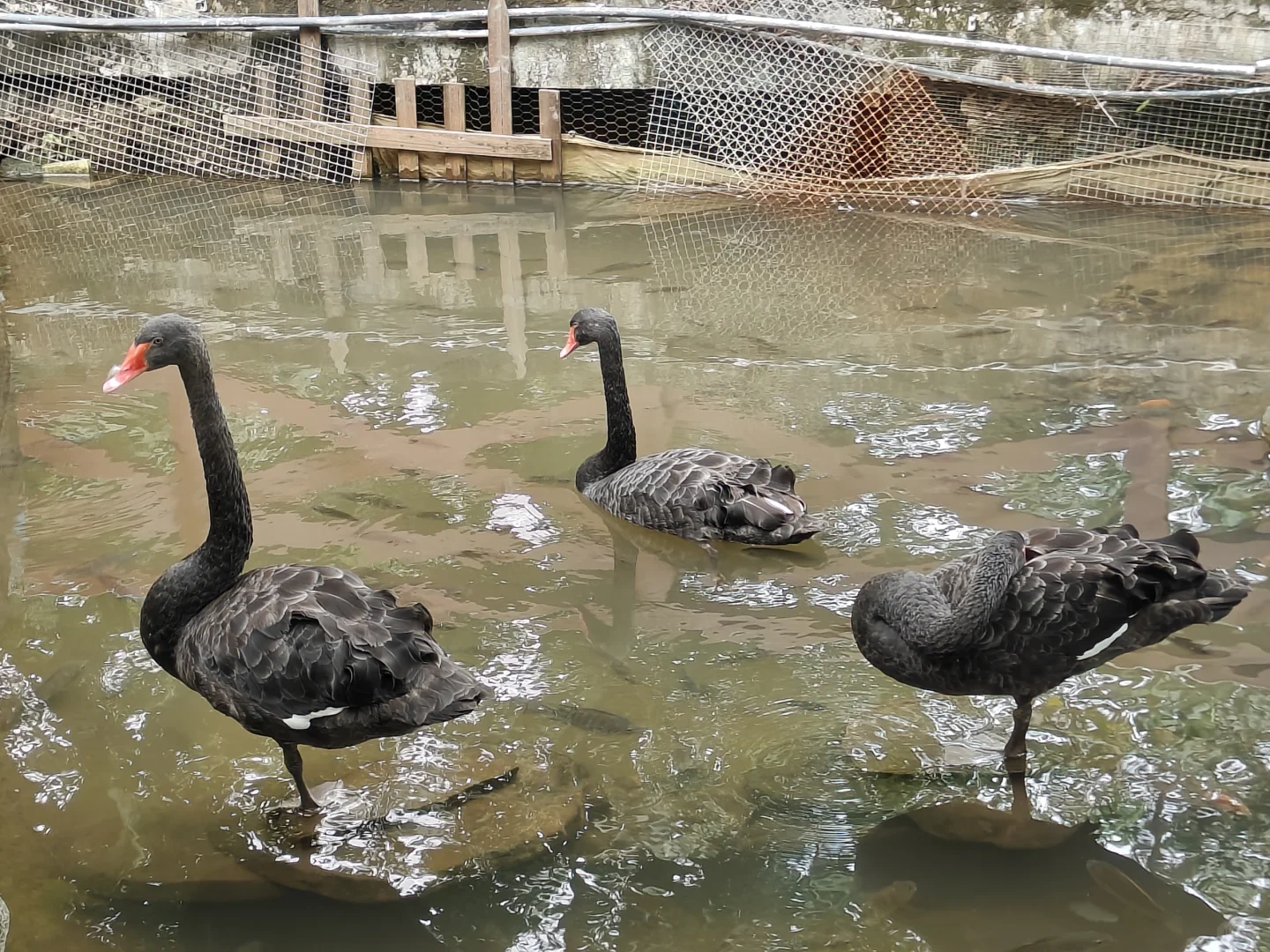 海口热带农业科技博览园一日游 🌴