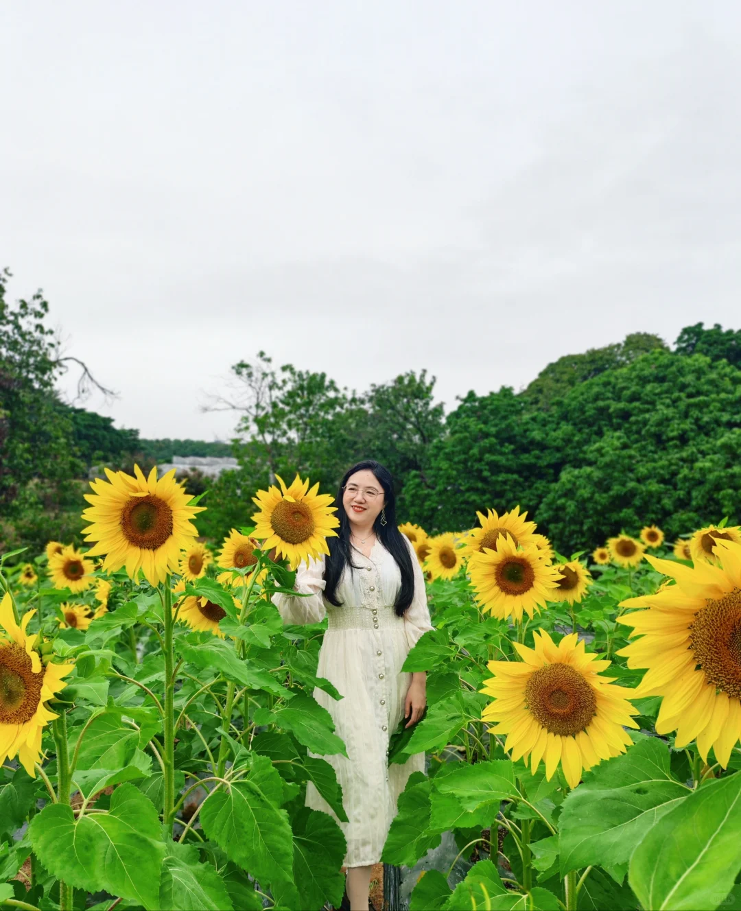 📍长岭现代农业公园|向阳而生🌻