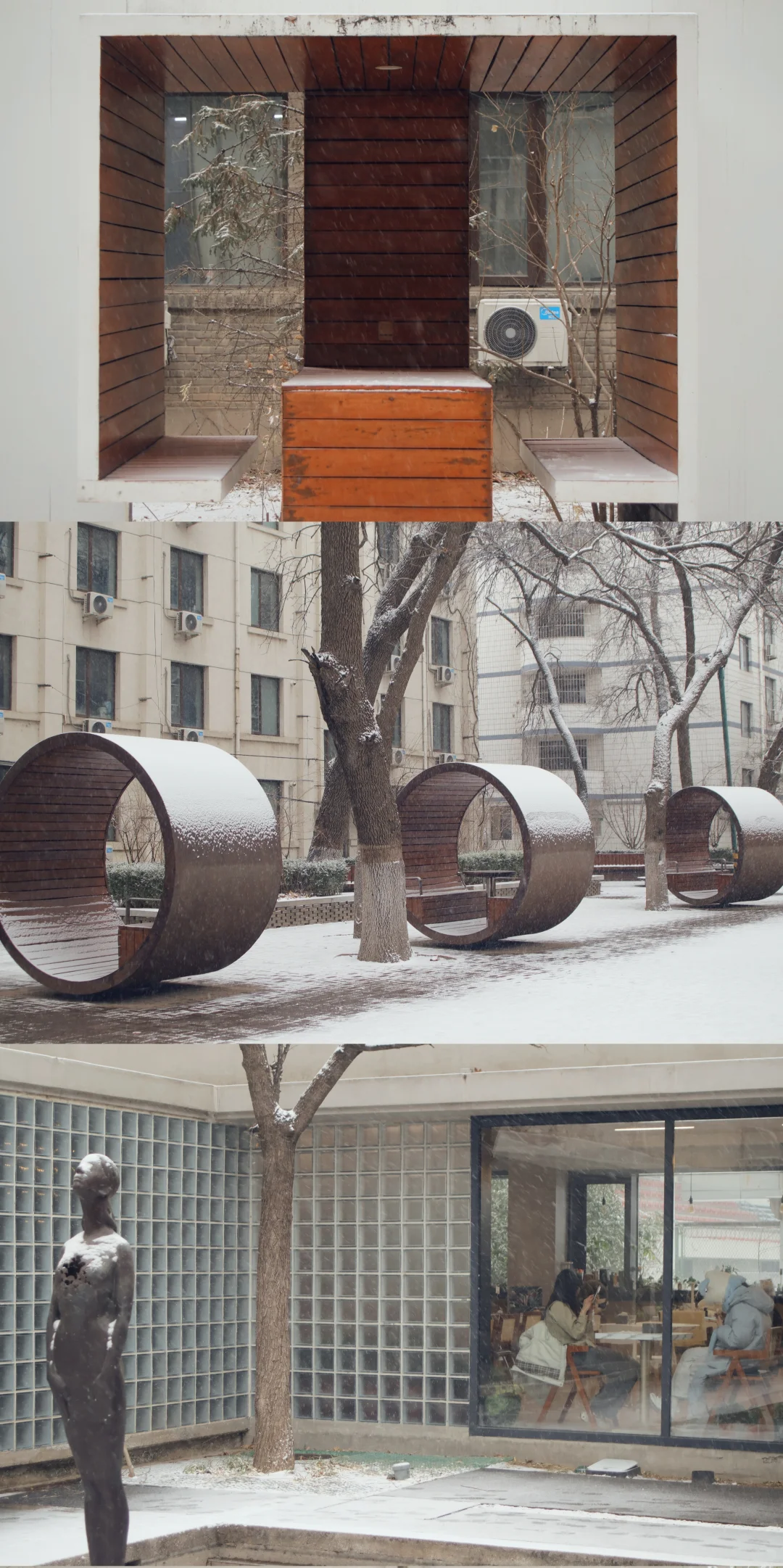 北京初雪|雪中的北京林业大学