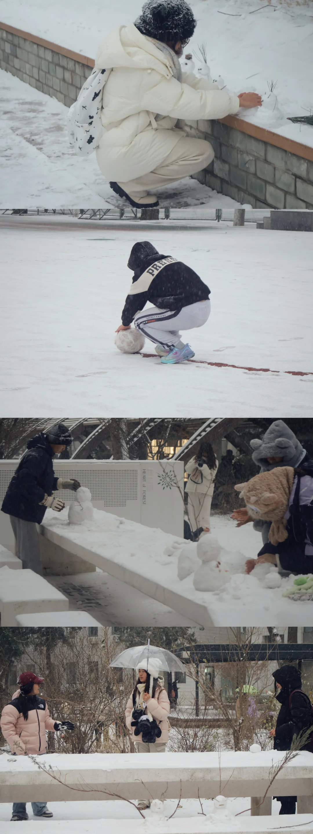 北京初雪|雪中的北京林业大学