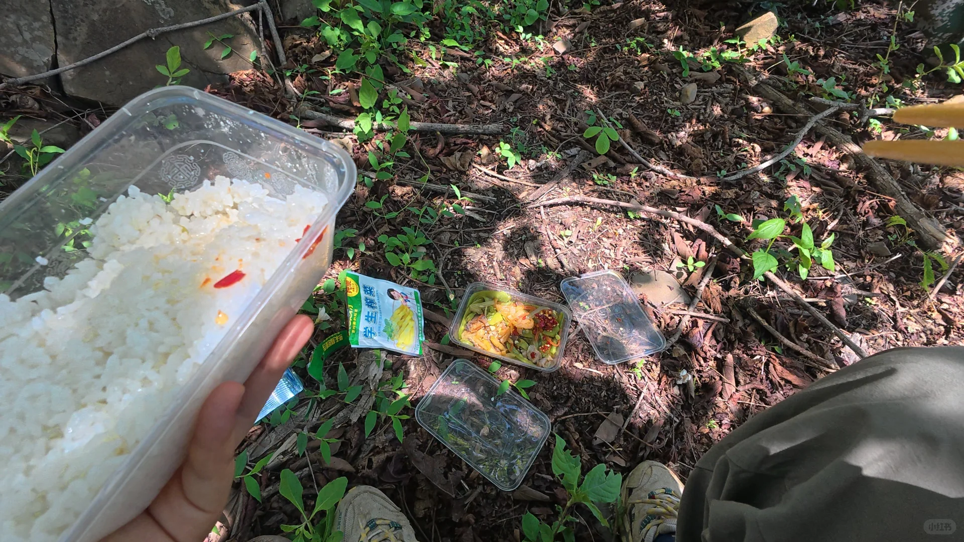 这次的野外工作告一段落