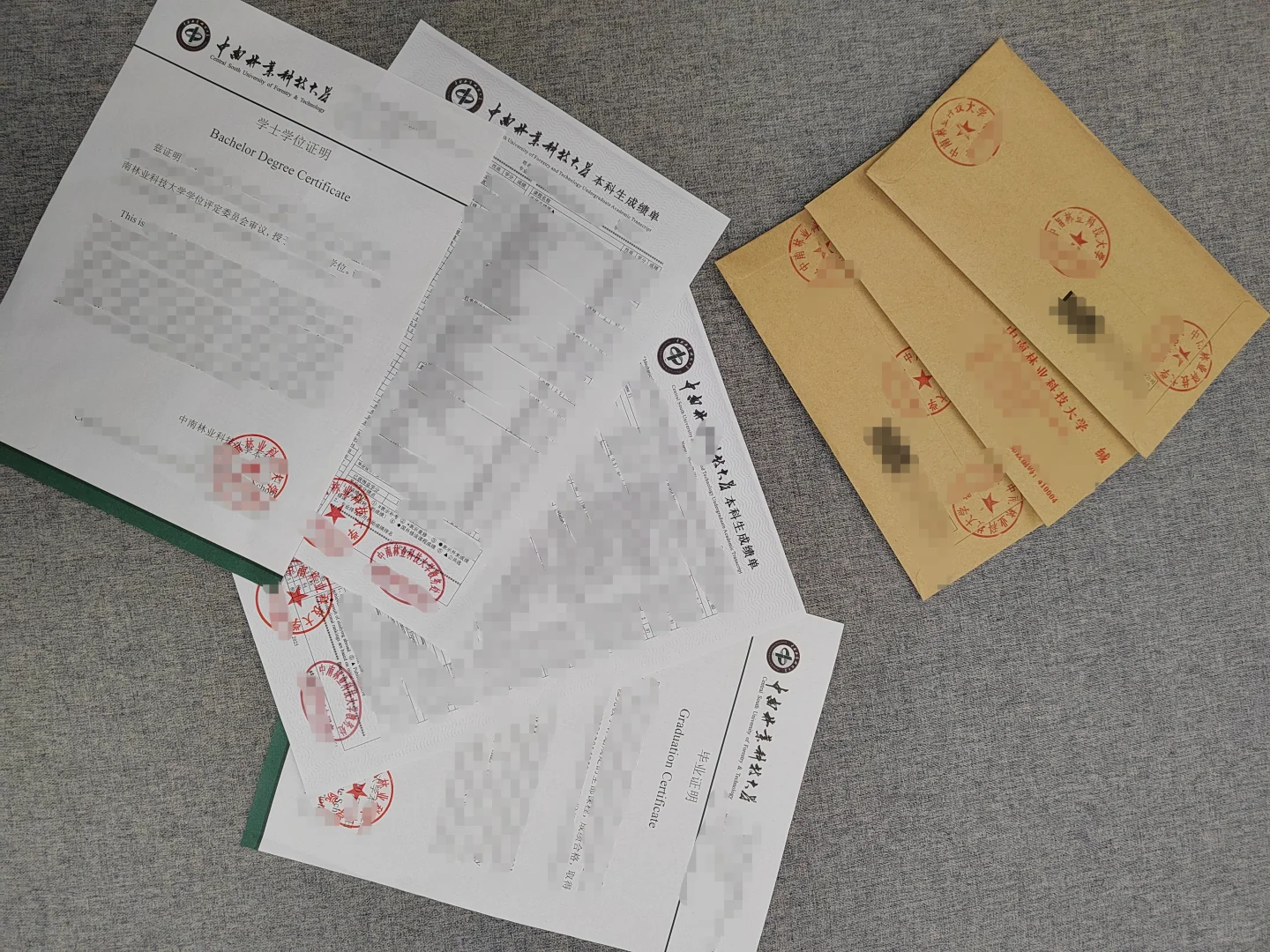 中南林业科技大学成绩单打印