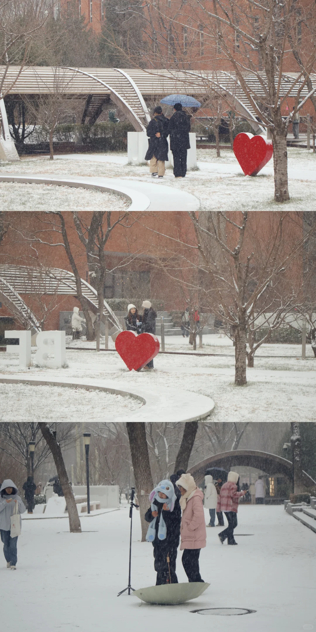 北京初雪|雪中的北京林业大学