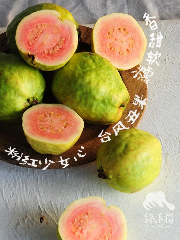 初冬多巴胺爆表💥|台风中幸存的番石榴