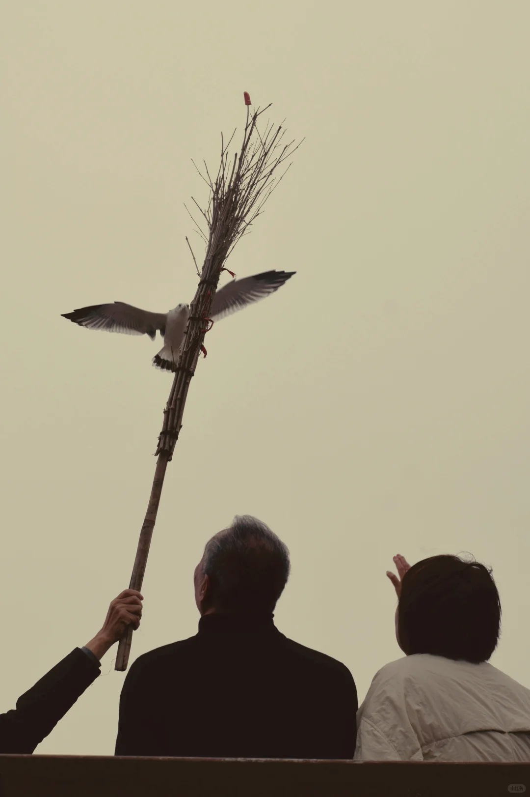 朋友圈美学 ｜ 渔人与水