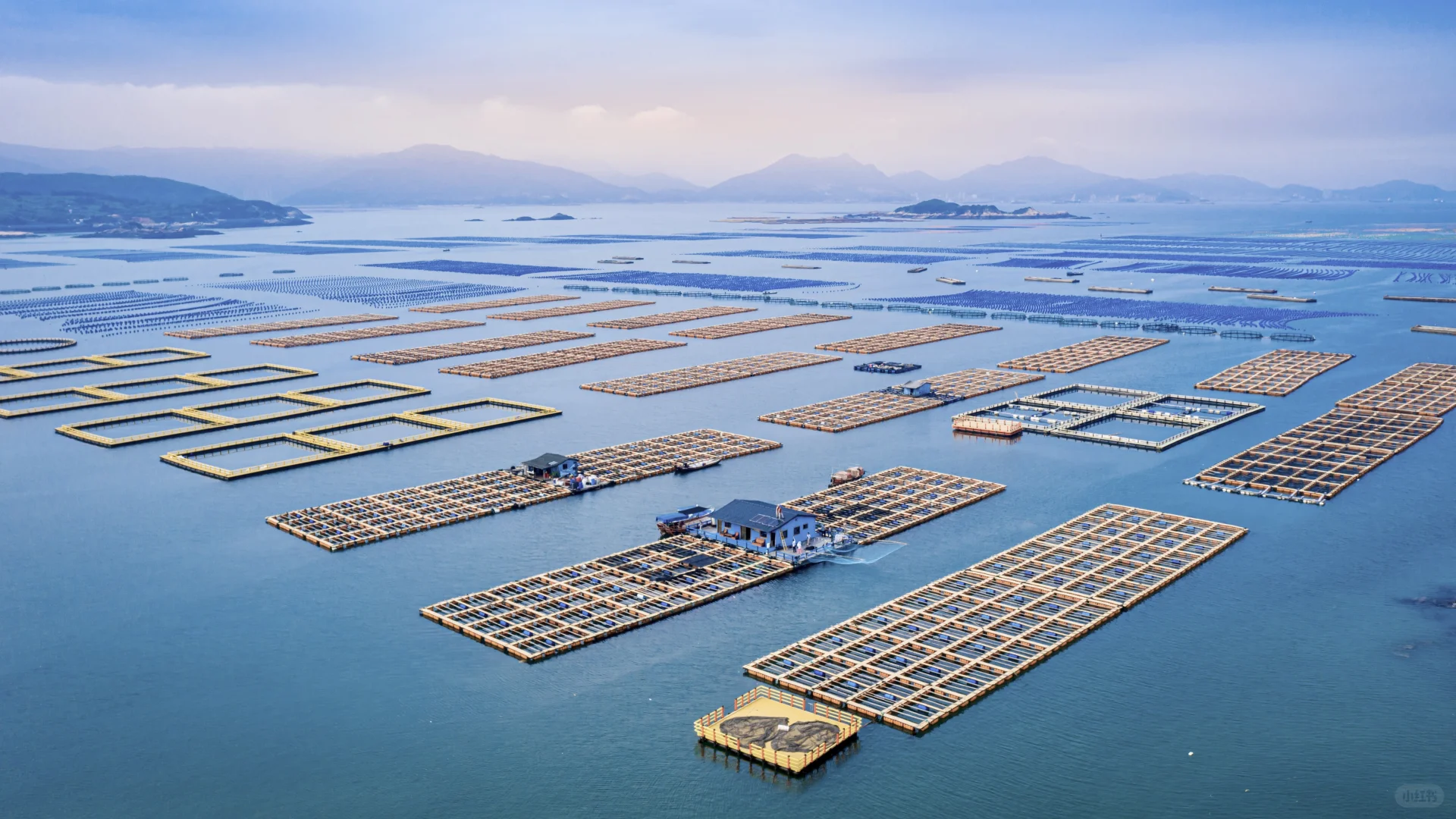 福建连江筱埕镇丨海边鱼排养殖基地
