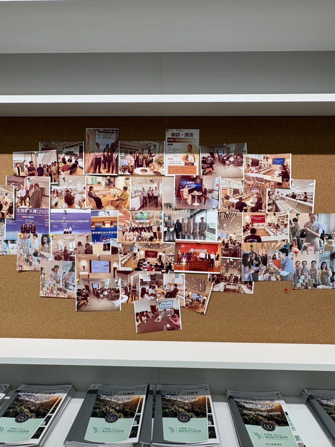 云南农业大学现代咖啡