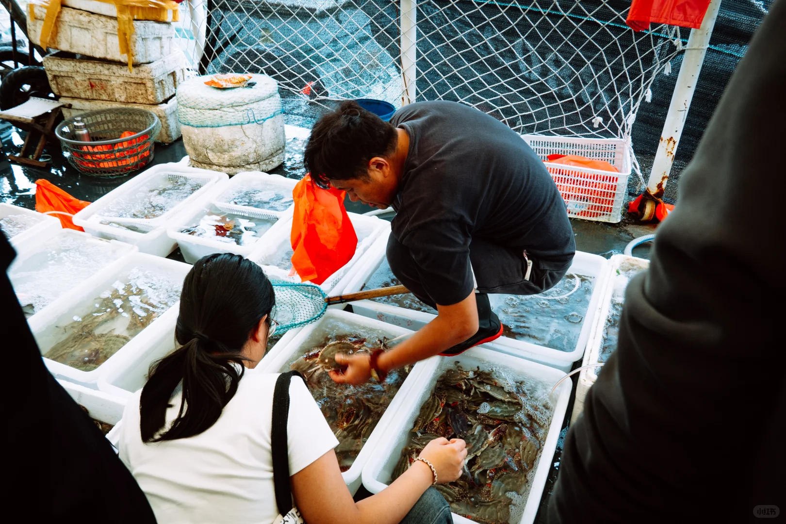 在忙碌的码头看热闹 青岛小港码头 好吃好拍