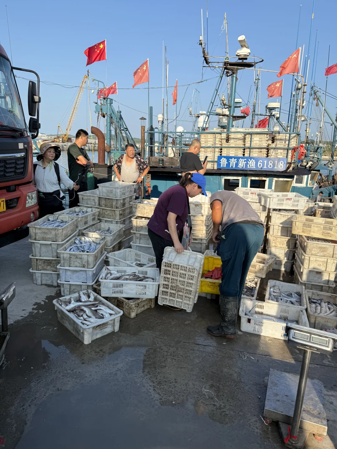 渔船靠岸，渔获满满！想吃的🙋🏻‍♀️