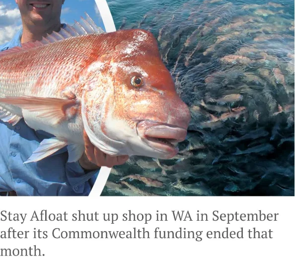 西澳渔业禁令引轩然大波，政府乌龙通知遭批