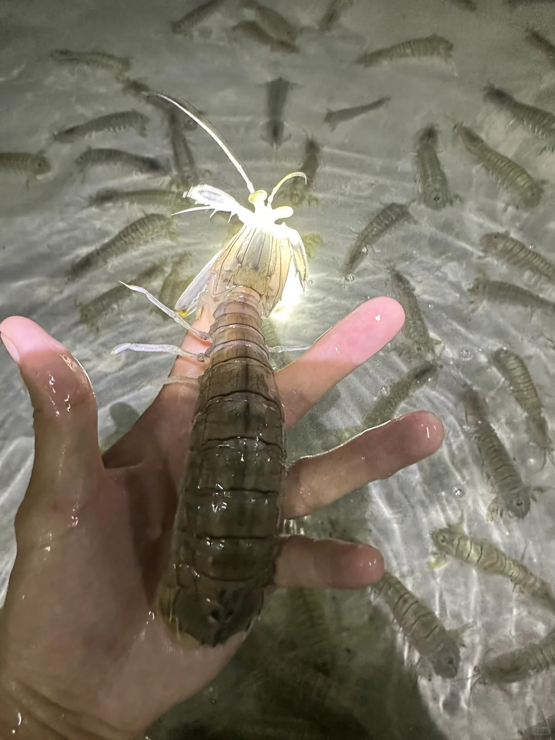 渔船回港啦！渔民出海捕鱼日常生活