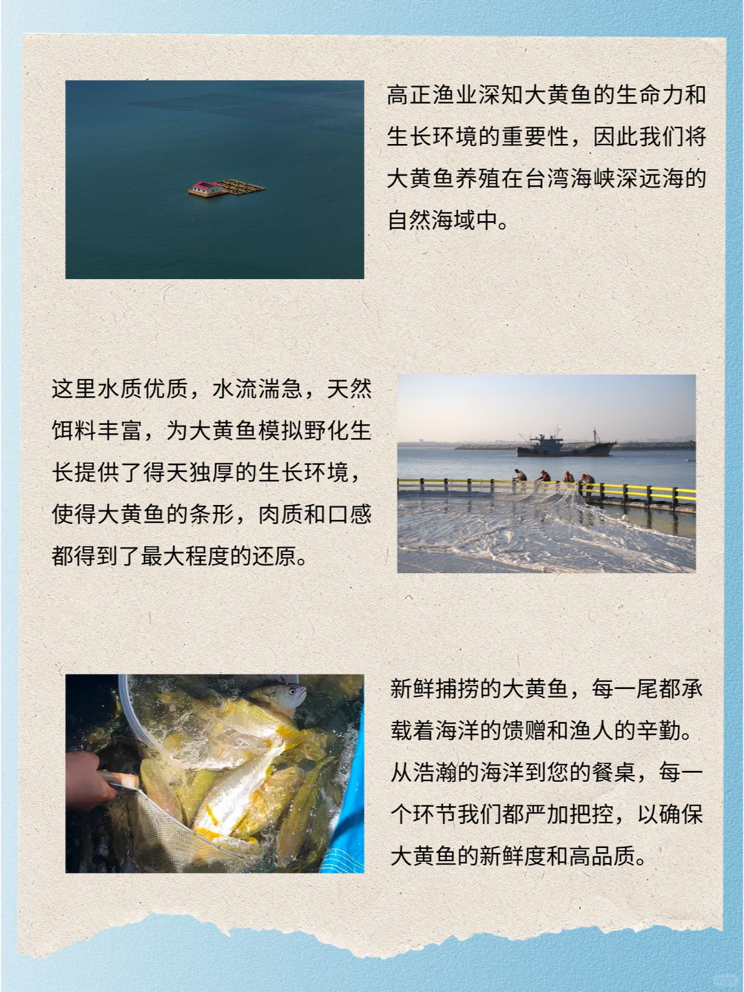 秋日捕捞季，品尝大黄鱼的鲜嫩口感💖