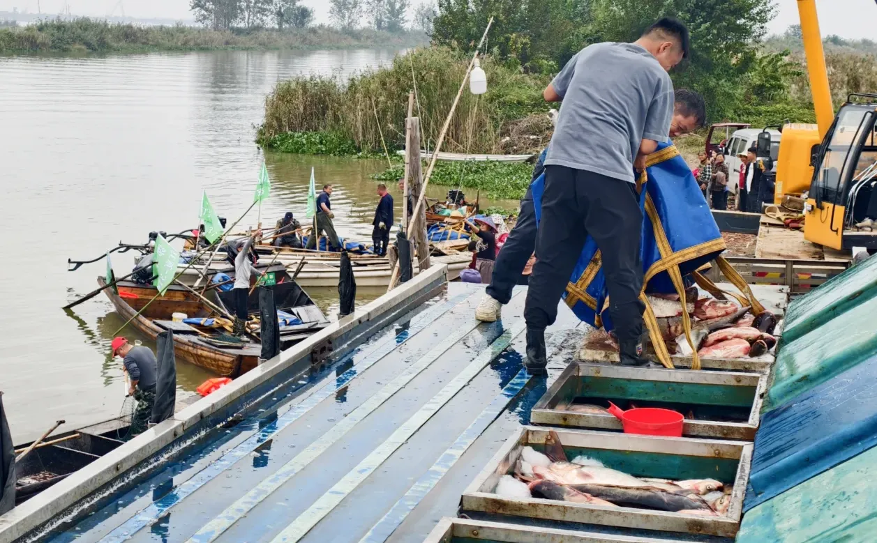 开湖啦！渔村又热闹起来了