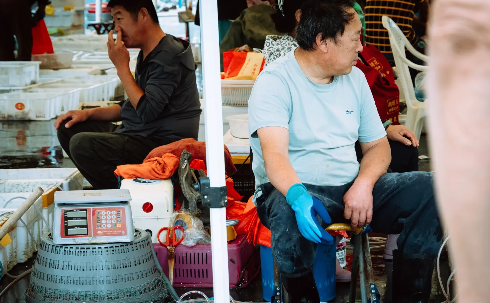 在忙碌的码头看热闹 青岛小港码头 好吃好拍