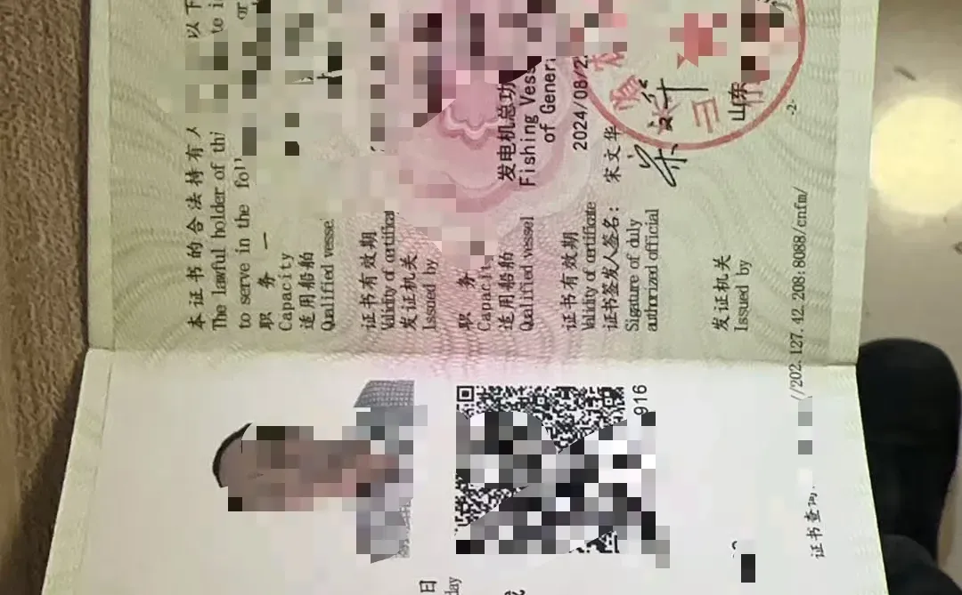 渔业船员证书绿本红本蓝本