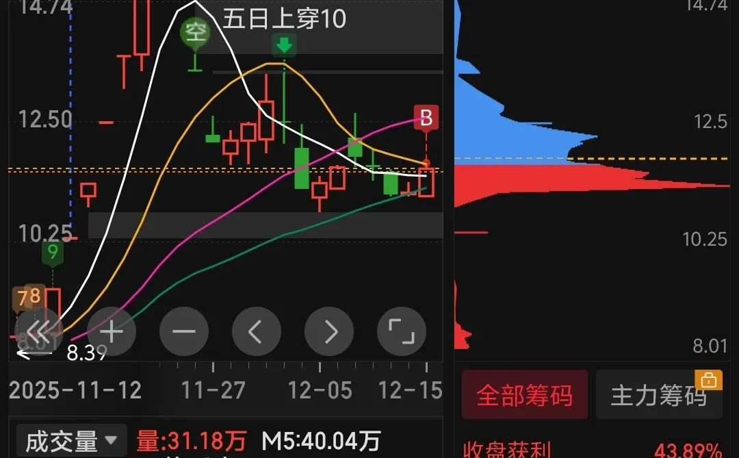 发现-验证-利用