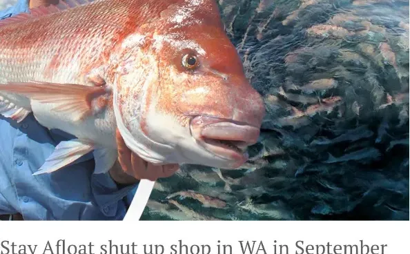 西澳渔业禁令引轩然大波，政府乌龙通知遭批