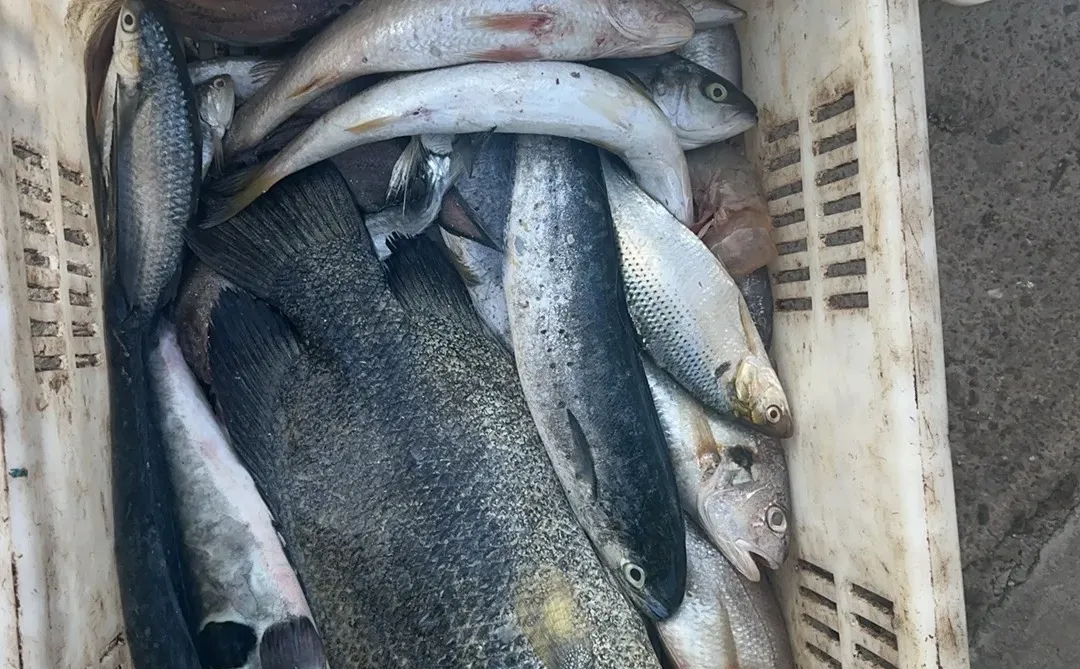 渔船靠港，满载而归～