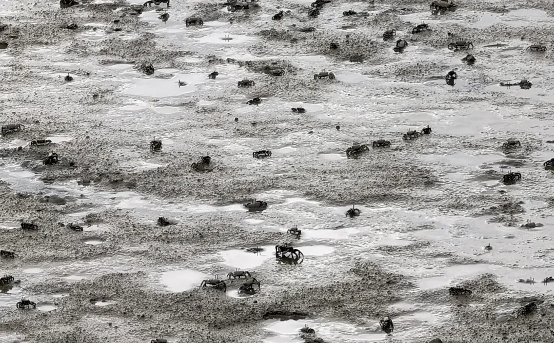 休渔期滩涂上的渔船ℓ大连庄河