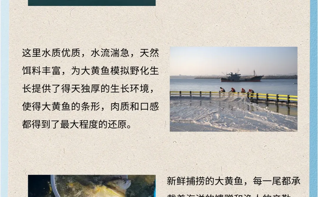 秋日捕捞季，品尝大黄鱼的鲜嫩口感💖