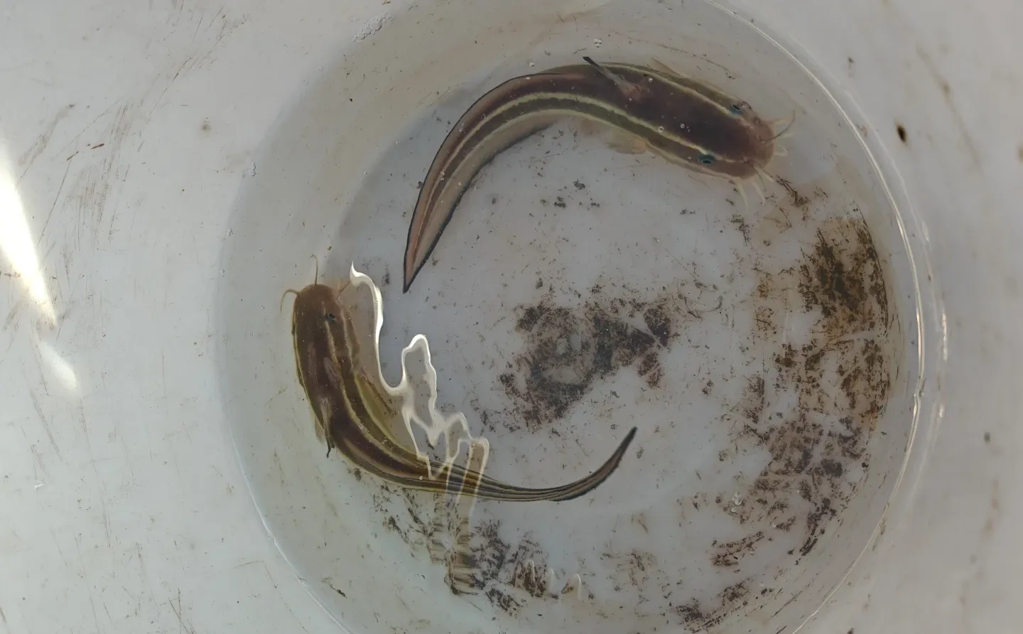 来汕头南澳海钓🎣