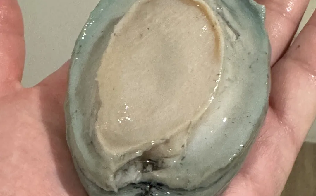 在新西兰赶海抓黑金鲍吃到爽是什么体验！