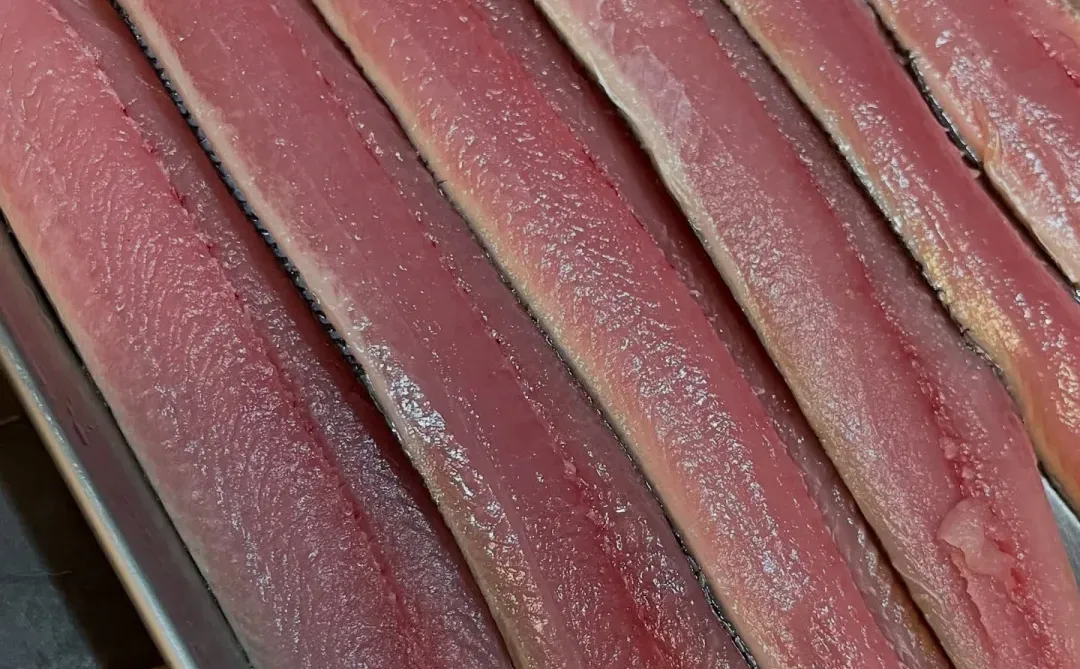 今年的鱼情太好了 秋刀鱼真系好肥好肥好肥