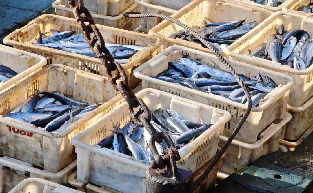 我爸让我给他发网上宣传下，我也不会啊🙂