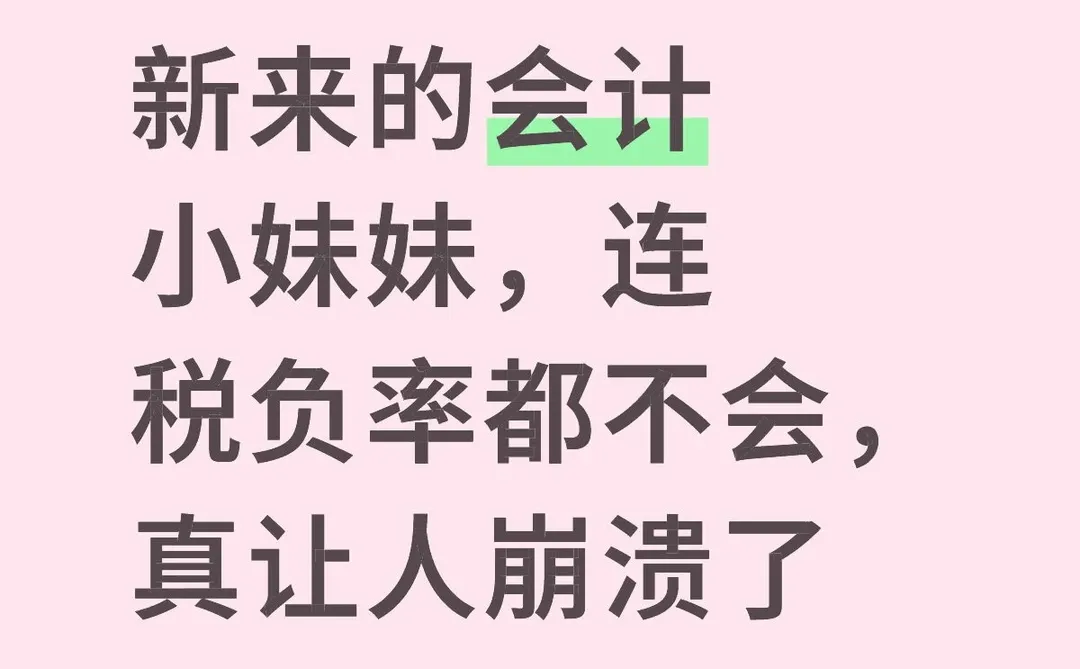 新来的会计小妹妹，连税负率都不会，真让人