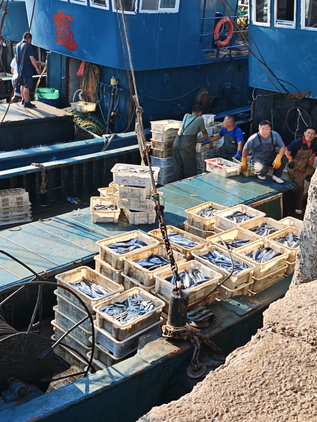 我爸让我给他发网上宣传下，我也不会啊🙂