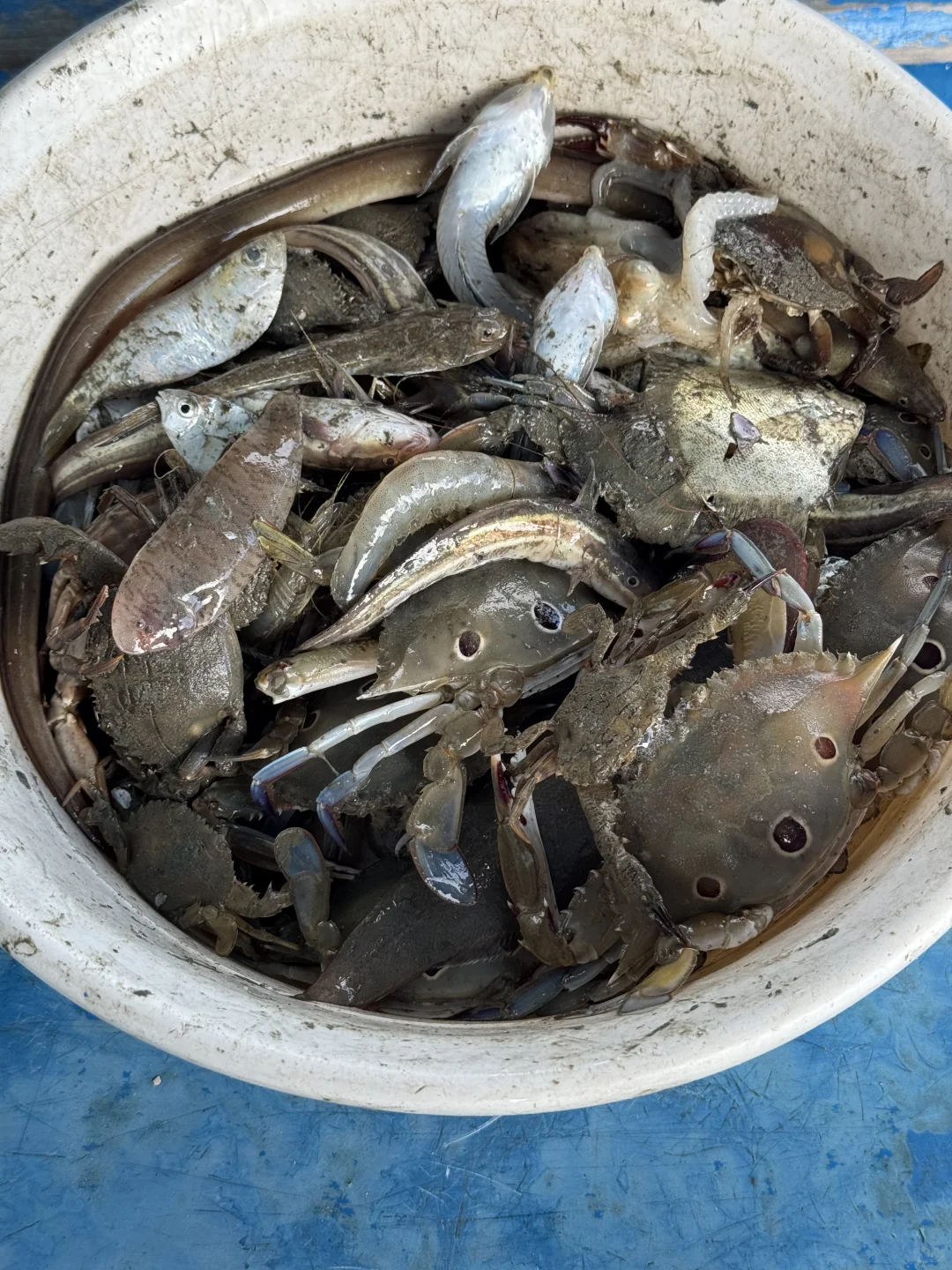 关于惠州出海捕鱼