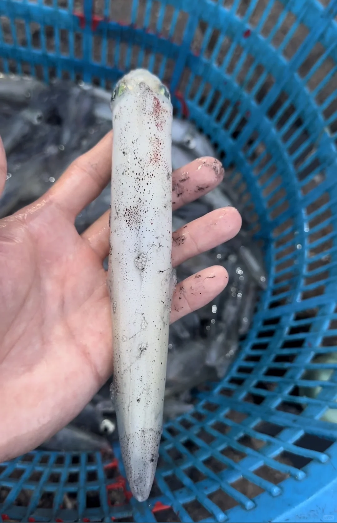 渔船回港啦！渔民出海捕鱼日常生活