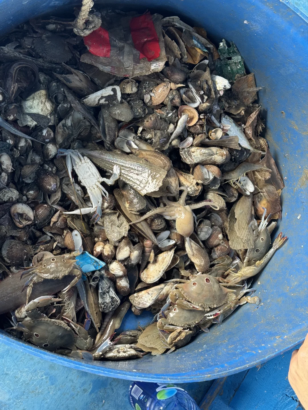 关于惠州出海捕鱼