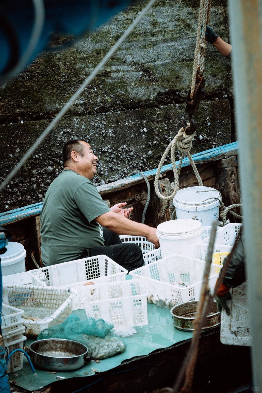 在忙碌的码头看热闹 青岛小港码头 好吃好拍