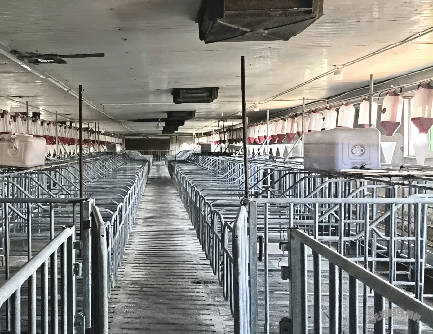 畜牧行业总结四个字