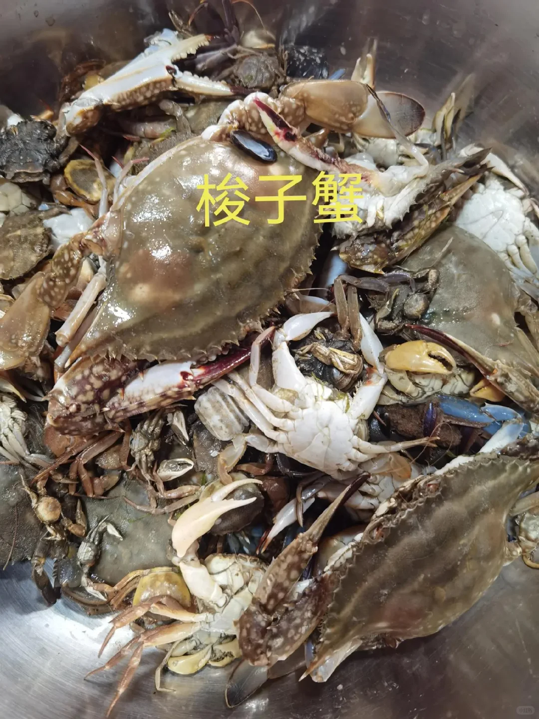 日照出海捕鱼攻略