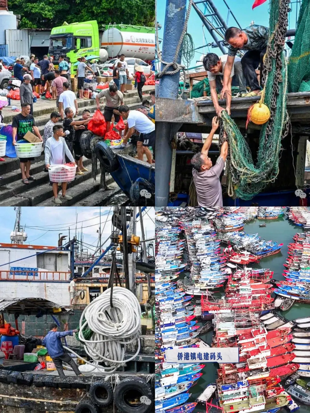 北海开海啦 | 千帆竞发奔赴“鲜”之旅🐟