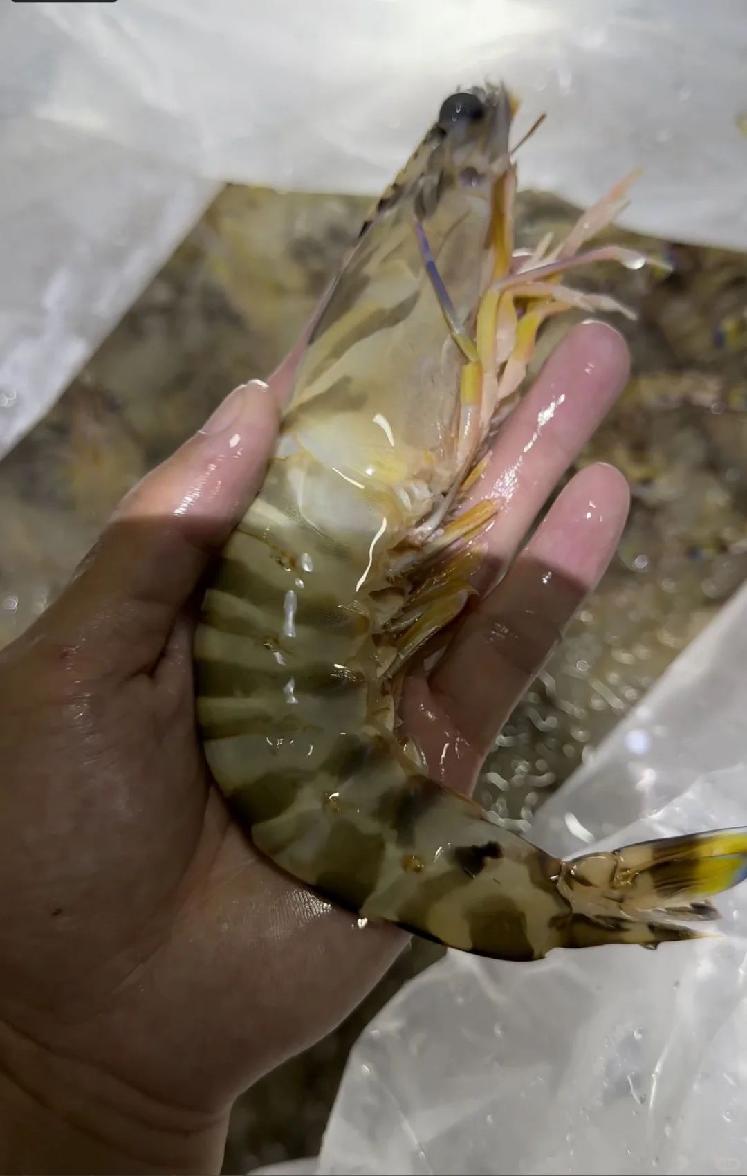 渔船回港啦！渔民出海捕鱼日常生活