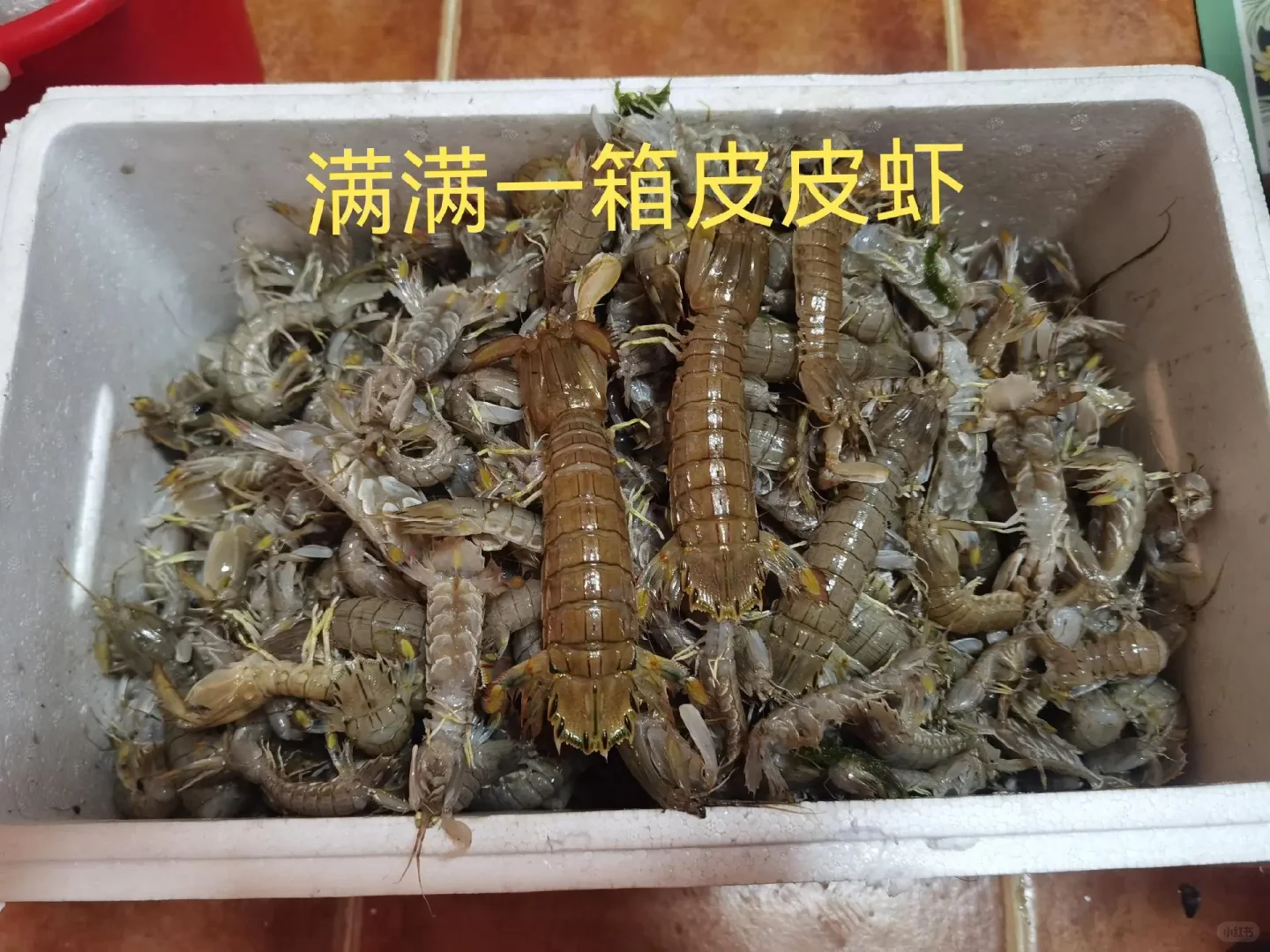 日照出海捕鱼攻略