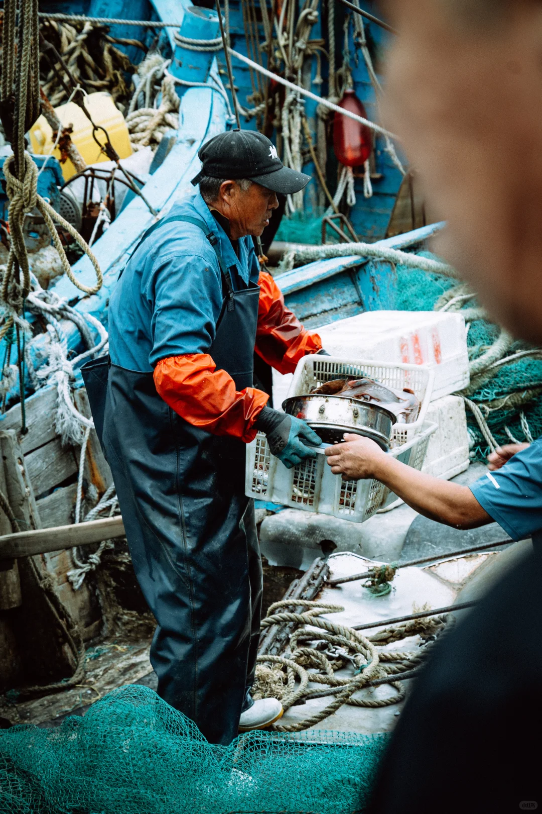 在忙碌的码头看热闹 青岛小港码头 好吃好拍