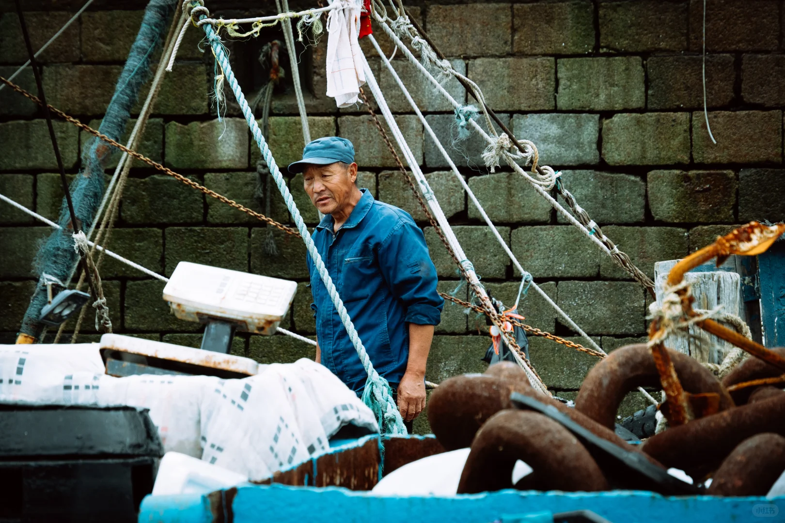 在忙碌的码头看热闹 青岛小港码头 好吃好拍