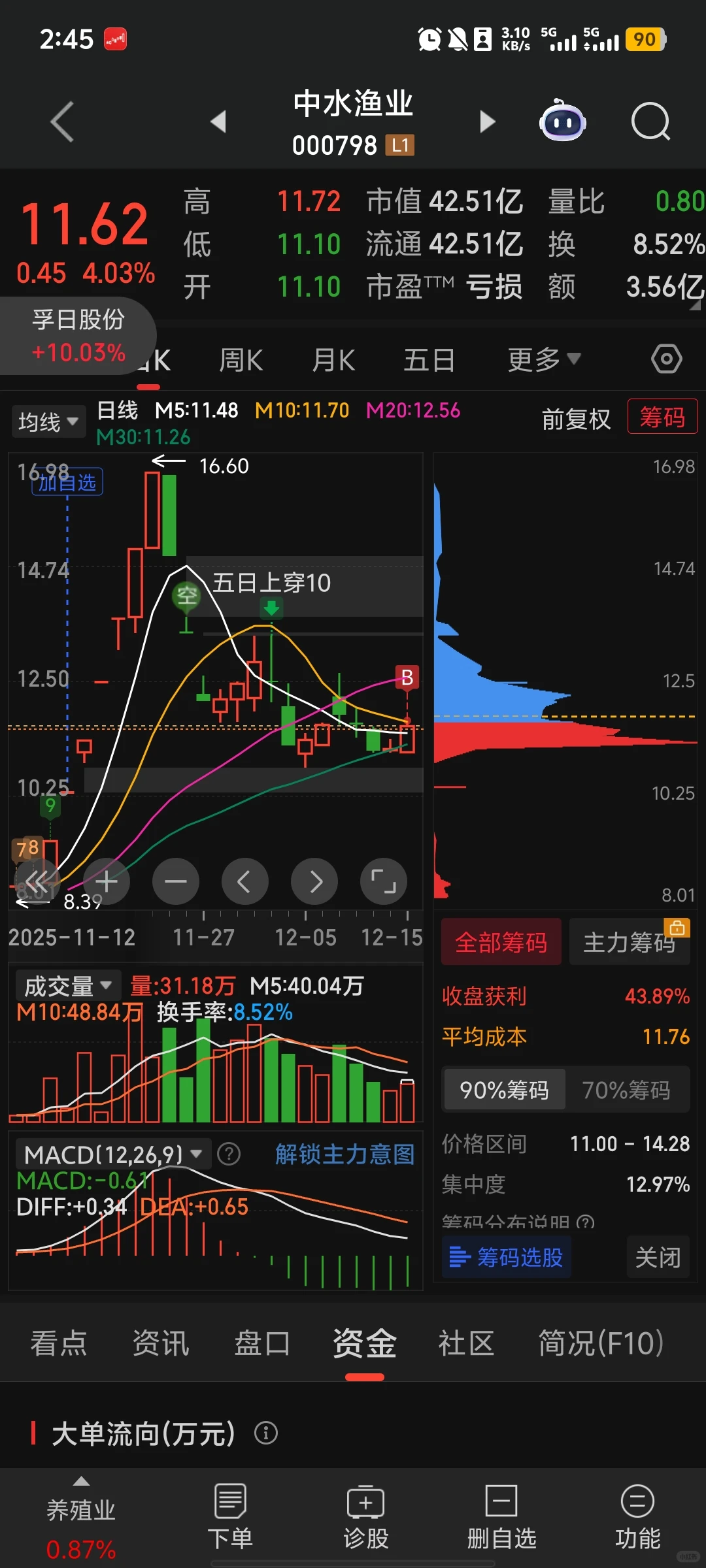 发现-验证-利用