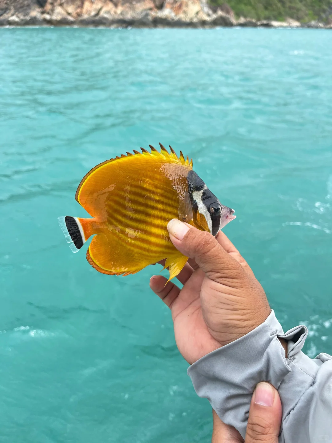 三亚海钓实况，今天钓到蝴蝶鱼啦～